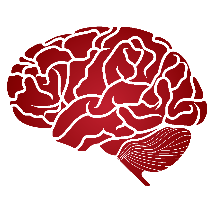  Brain and neurosurgery